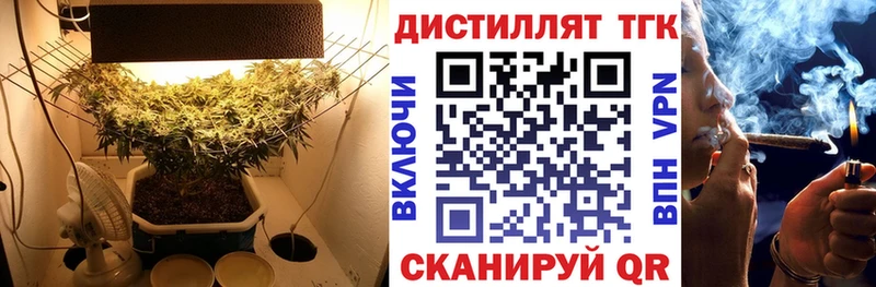сколько стоит  Елец  ТГК гашишное масло 