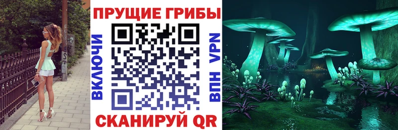 ссылка на мегу маркетплейс  Елец  Псилоцибиновые грибы Magic Shrooms 